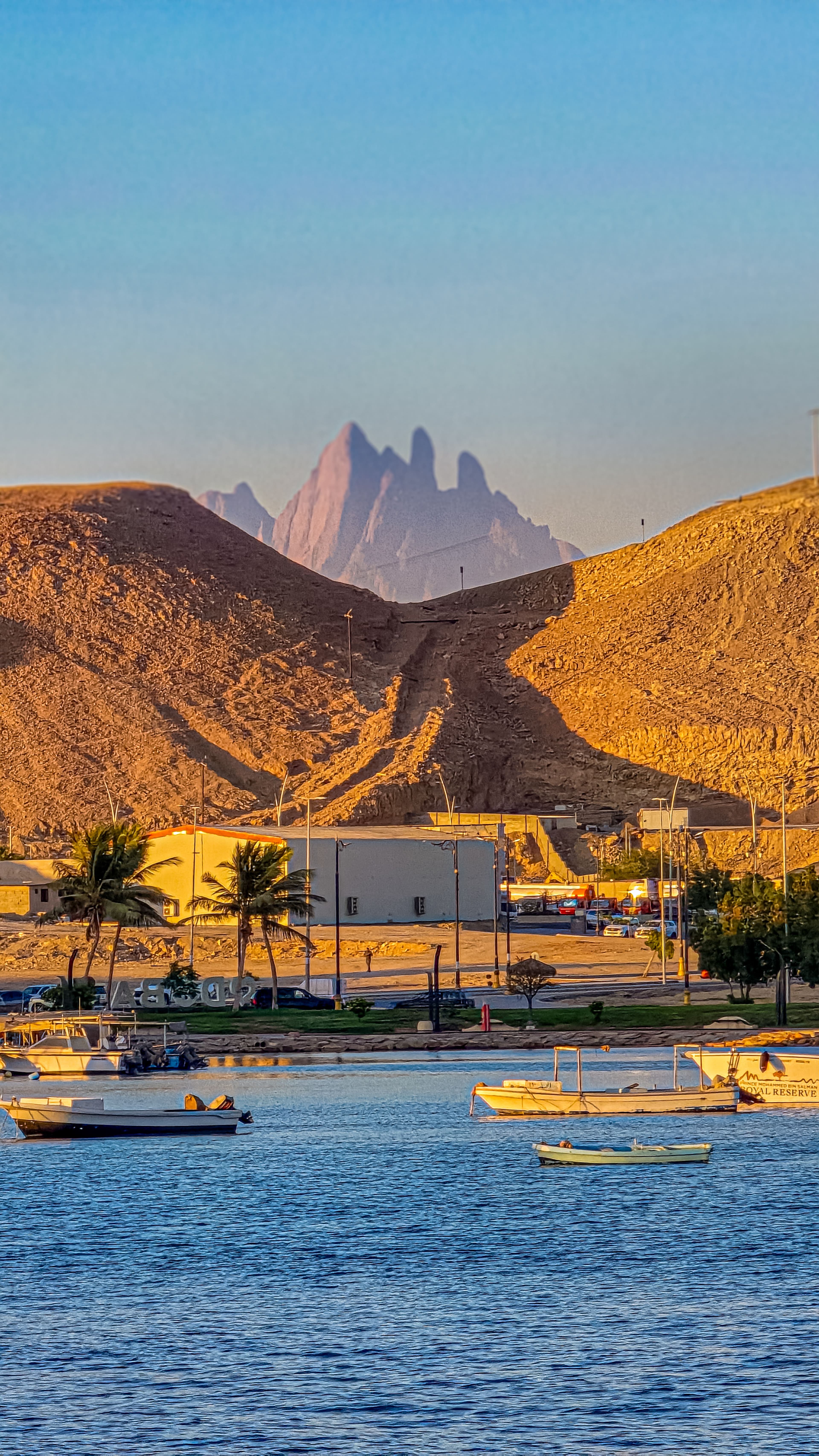 NEOM: A Visionary City of the Future